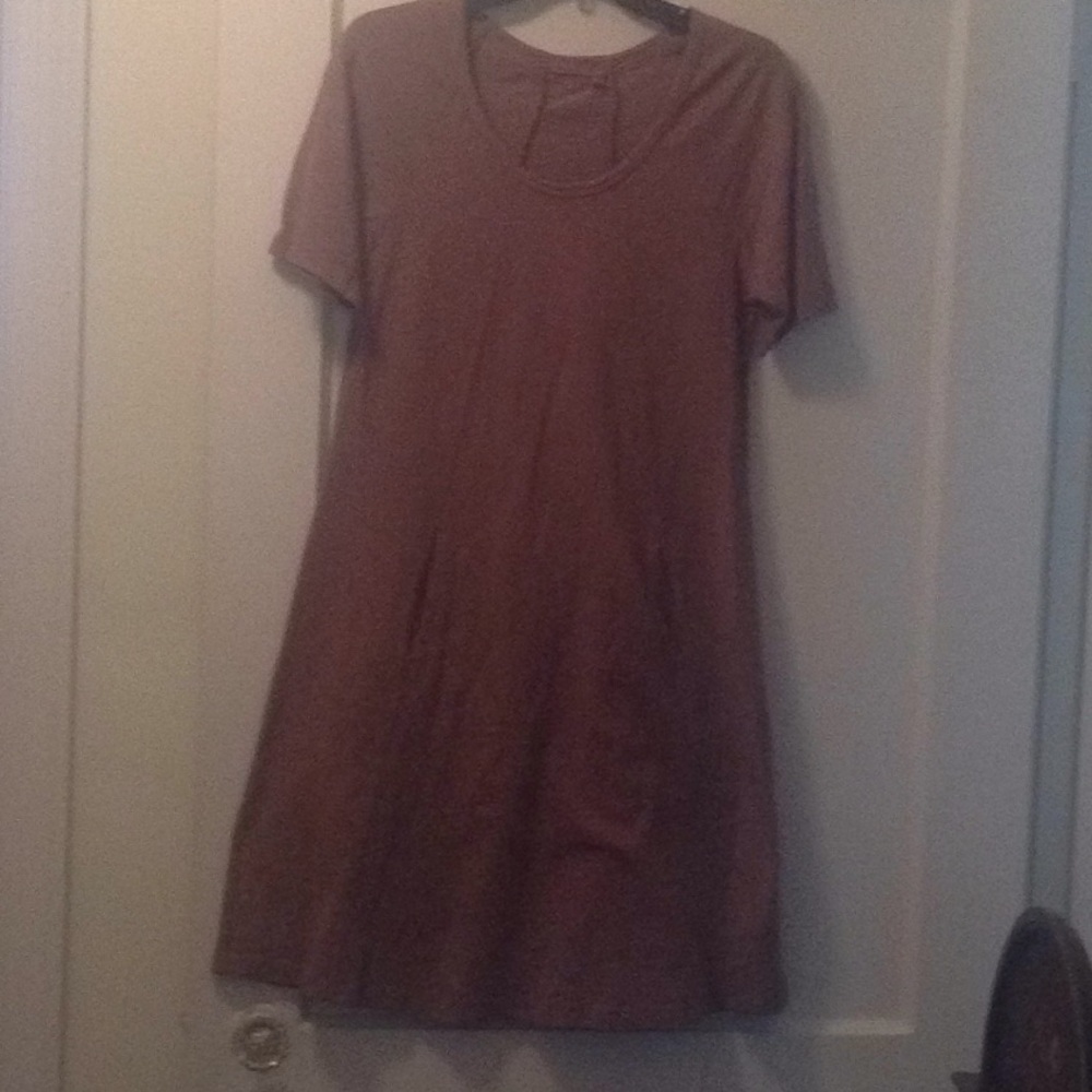 Fresh Produce taupe knit dress